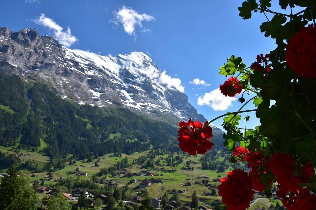 Superior Double Room Enzian with Eiger view and garden access