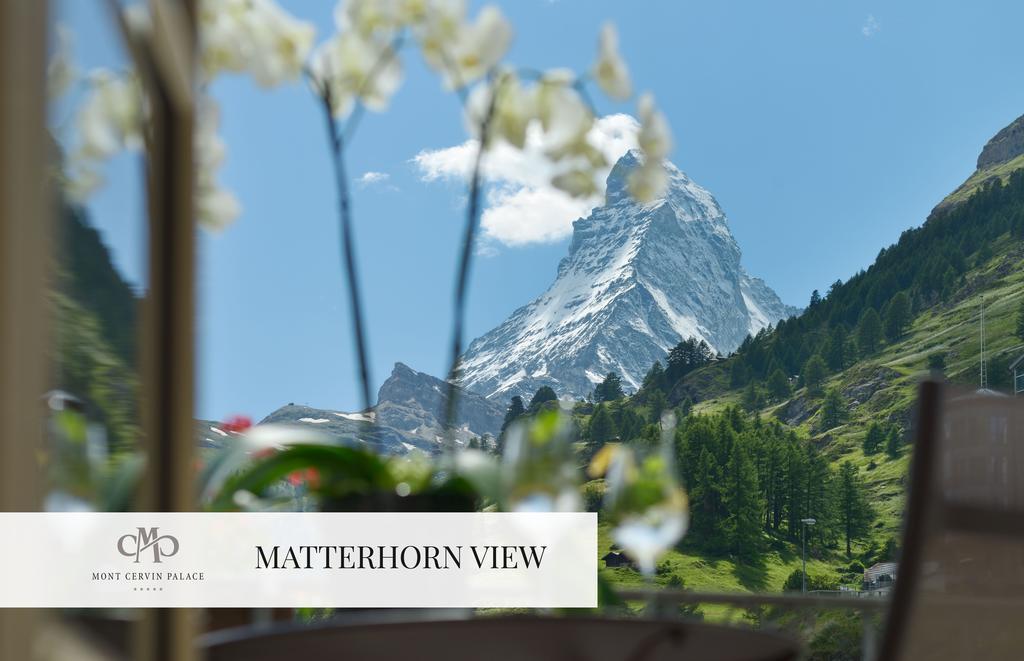 Suite Alpina de 1 dormitorio con vistas al Cervino