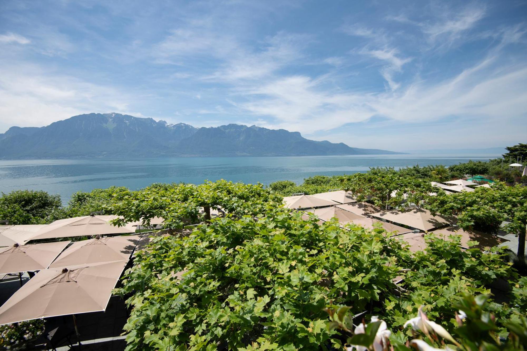 Suite con Terrazza