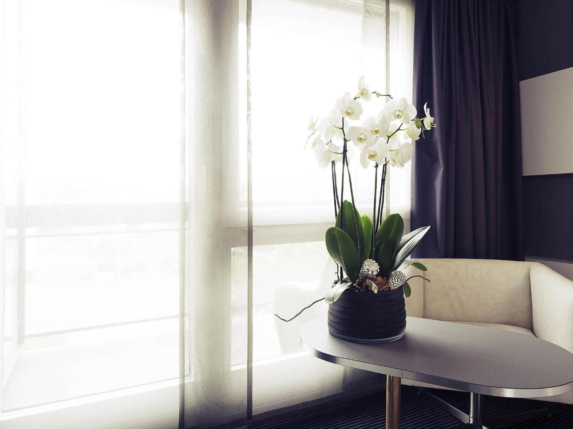 Superior Single Room,1756394193:JPEG