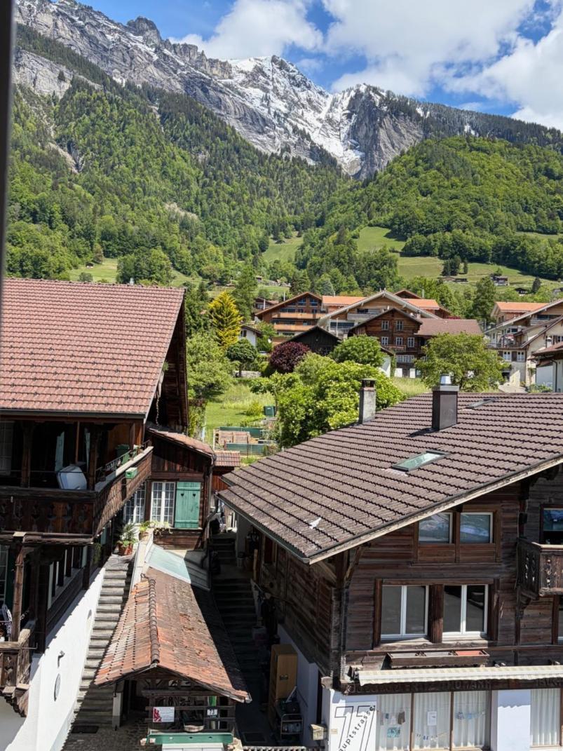 Budget Double Room Mountain View