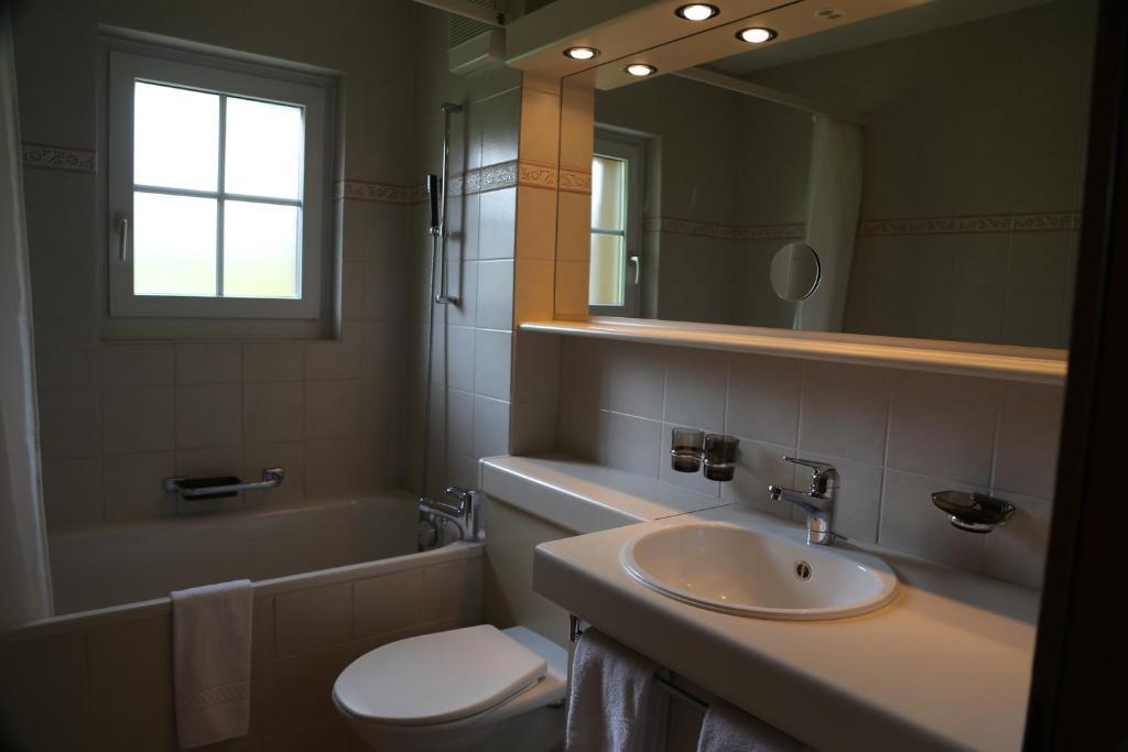 Superior Double or Twin Room Mountain View