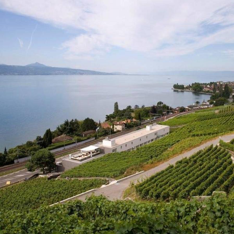 Suite avec Terrasse - Vue sur Lac