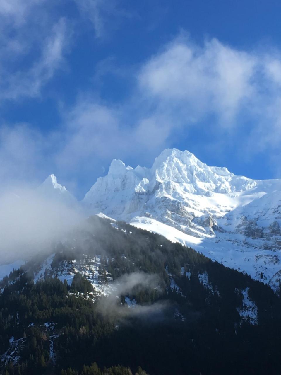 Executive Room with Mountain View