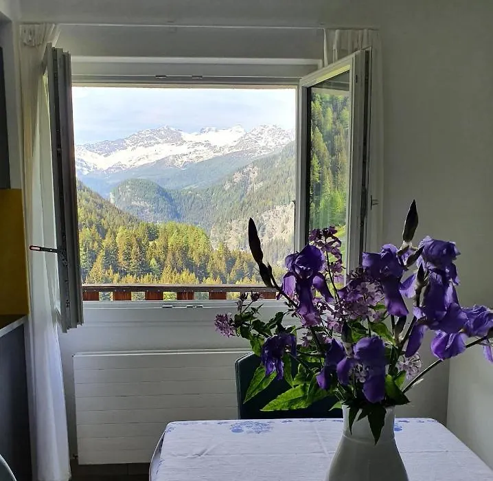 Hotel Zarera-1