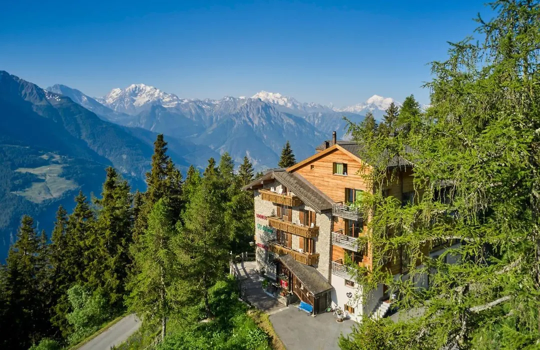 Hotel Waldhaus-1