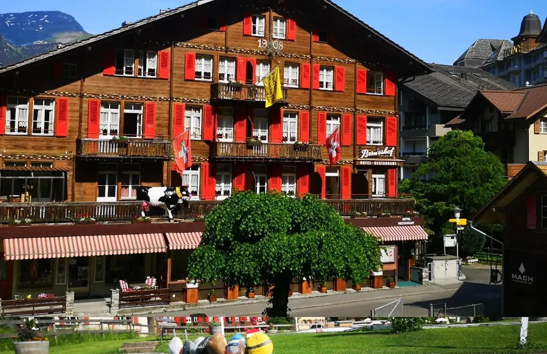Swiss Lodge Hotel Bernerhof-1