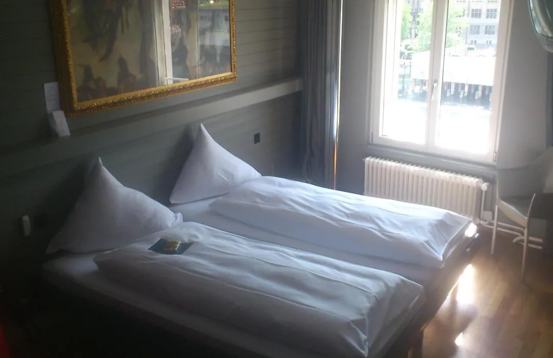Hotel Limmatblick-1
