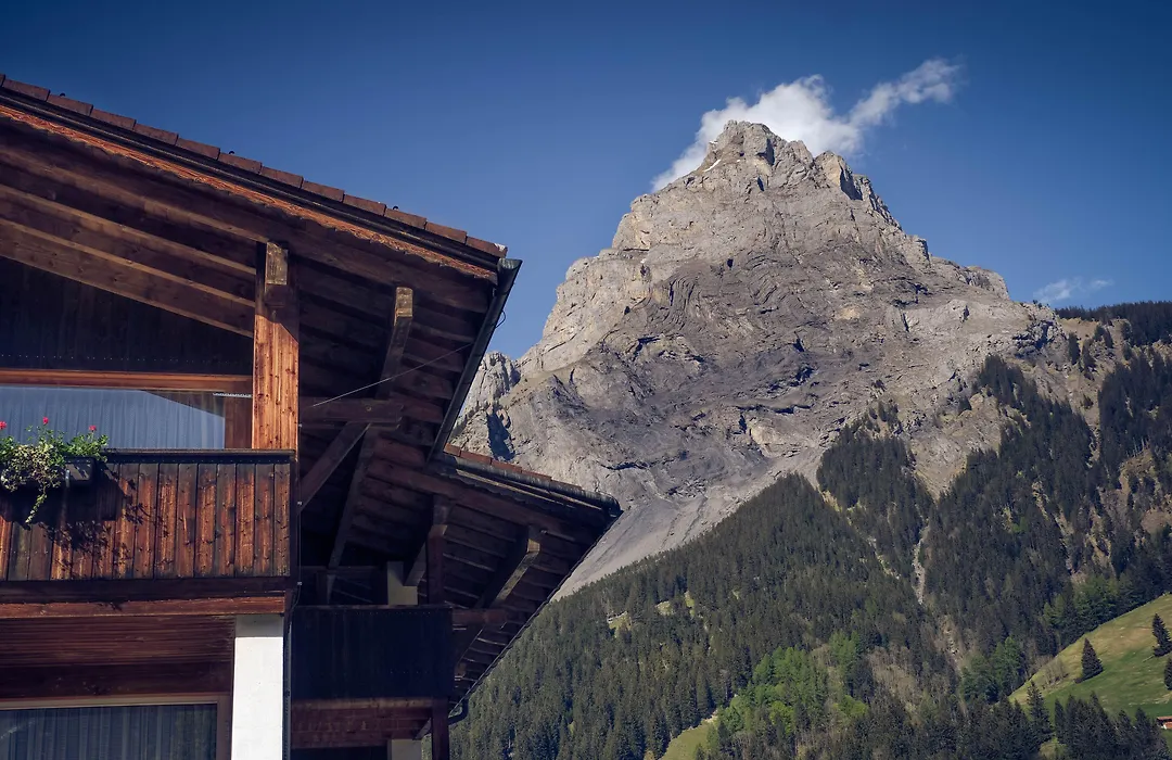 Hotel Alpina-1