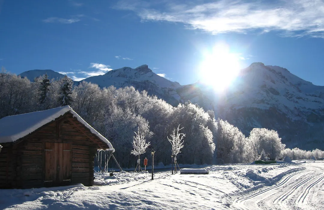 Hotel Alpenland-1