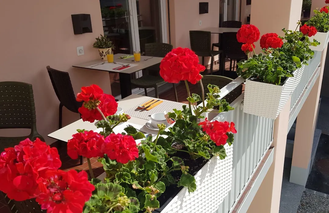 @ Home Hotel Locarno-1