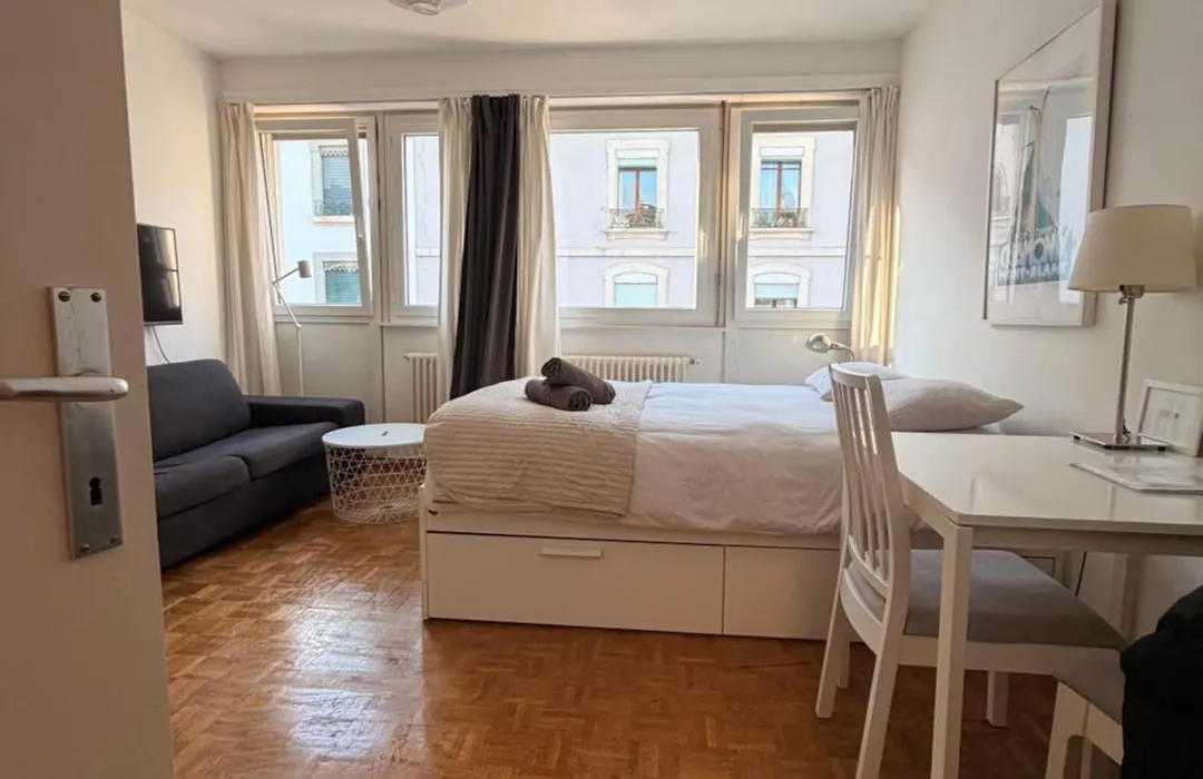 Central Geneva Studio With Free Travel Pass-1
