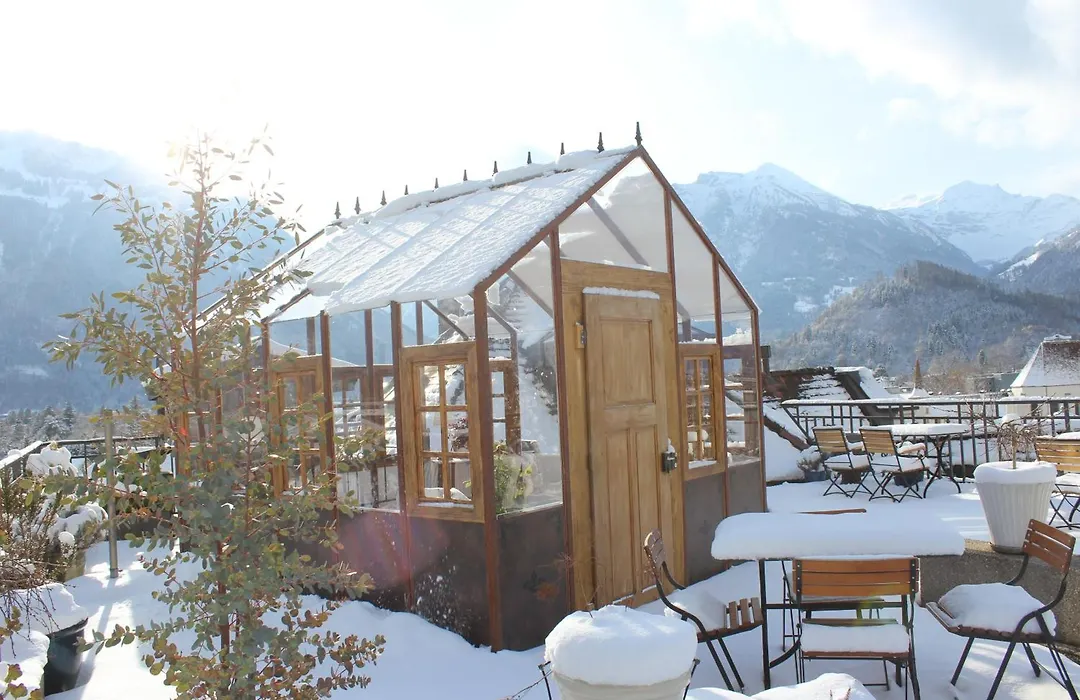 Carlton-Europe Vintage Adults Hotel-1