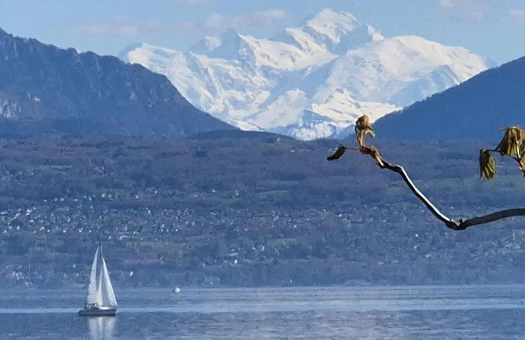Romantik Hotel Mont Blanc au Lac-1