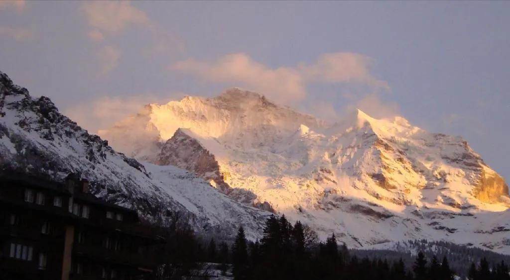 Chalet Tilia-1