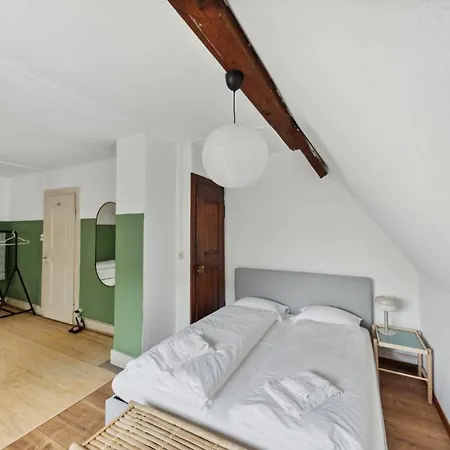 Centrally Located House With Garden-2