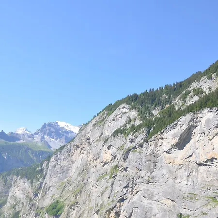Hotel Edelweiss Superior-2