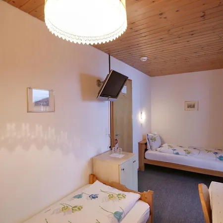 Hotel Alpina-3