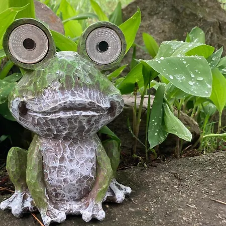 Le Lézard et la Grenouille BnB-2