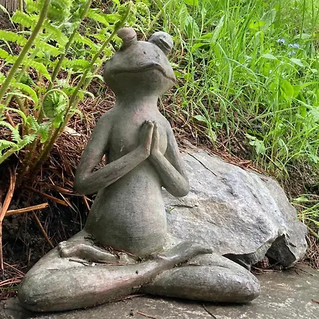 Le Lézard et la Grenouille BnB-3