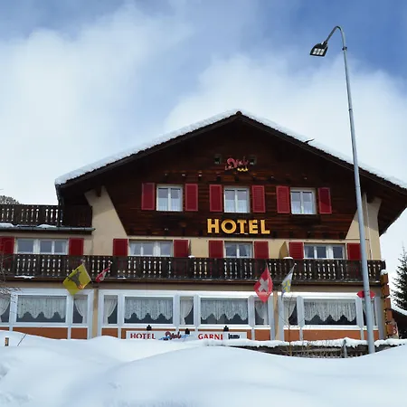 Mountain Lodge Sedrun-2