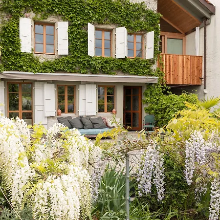 Wonderlandscape Guest House-3