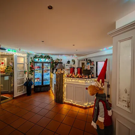 Hotel Baslertor-2