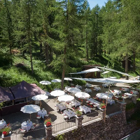Hotel Waldhaus-2