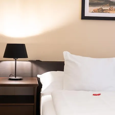 Swiss Inn & Apartments-2