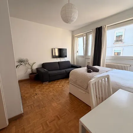 Central Geneva Studio With Free Travel Pass-2
