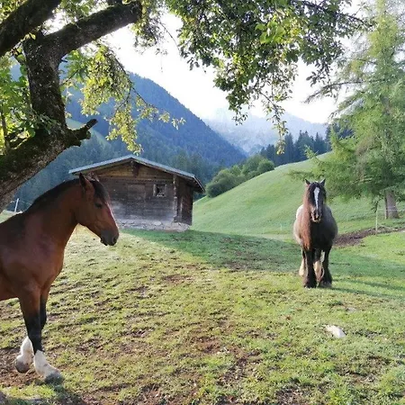 Au Pré des Chevaux-2