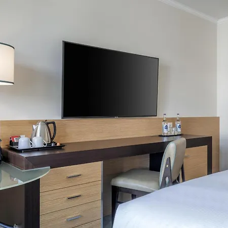Hilton Geneva Hotel&Conference Centre-3