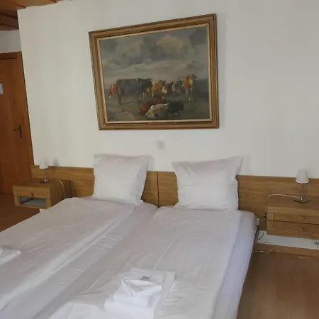 Hotel Franziskaner-2