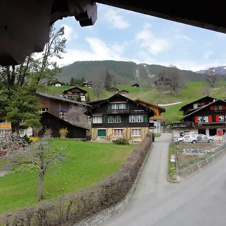 Hotel Steinbock Grindelwald-3