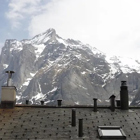 Hotel Steinbock Grindelwald-2