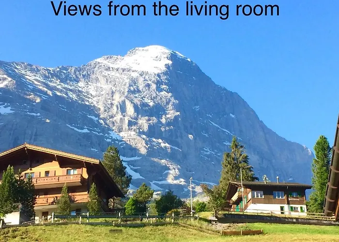 Huisdiervriedelijke Moench Amazing Apartment Grindelwald