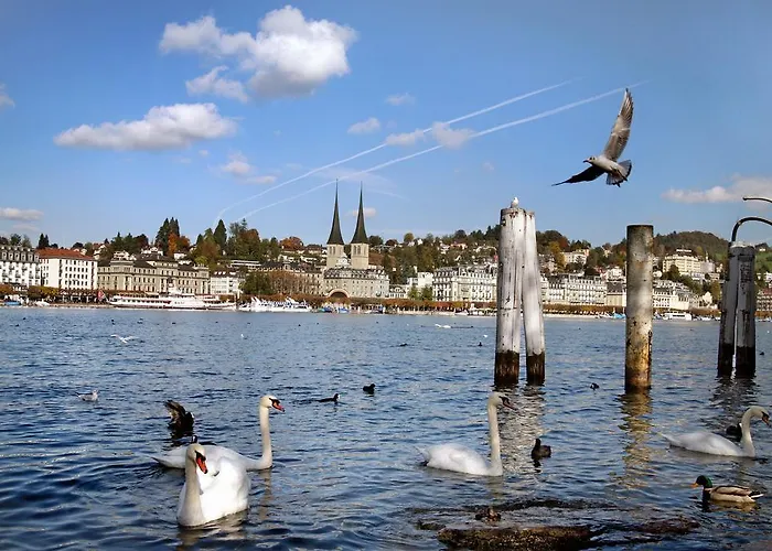 Hotel Muenzgasse Lucerna