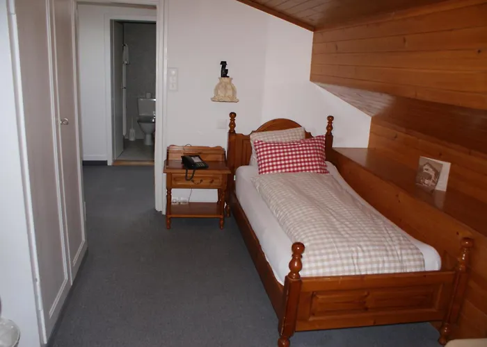 Hotels in Wilderswil