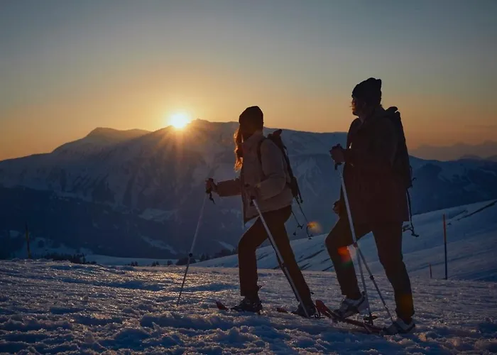 Hoteles en Adelboden