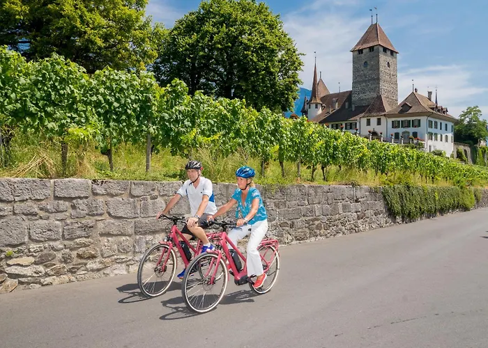 Hotel Seaside Spiez