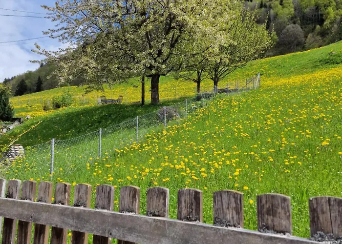 Chesa Prema Bed & Breakfast - Restaurant Disentis