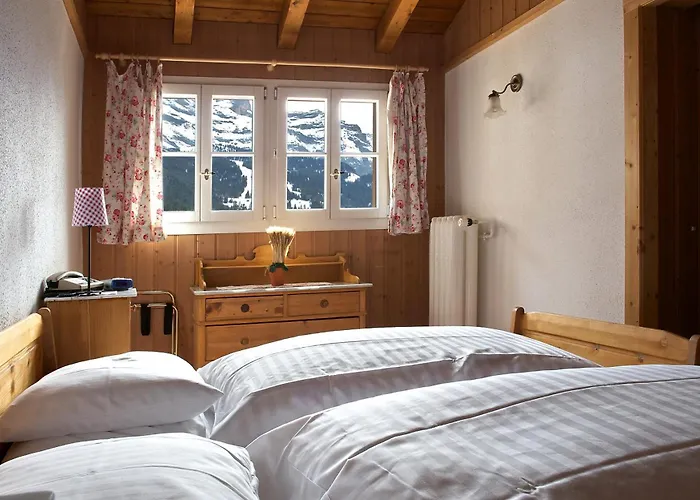 Historic Hotel Falken Wengen
