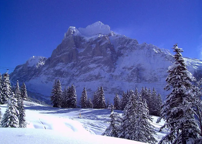 Hotel Alte Post Grindelwald