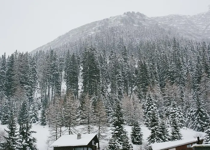Hotel & Restaurant Zum Schwarzen Baeren Andermatt