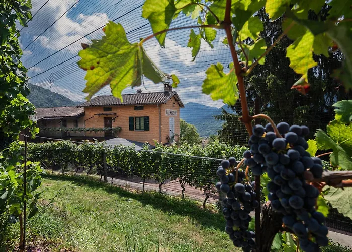 Wine & Art Relais Vallombrosa Castelrotto