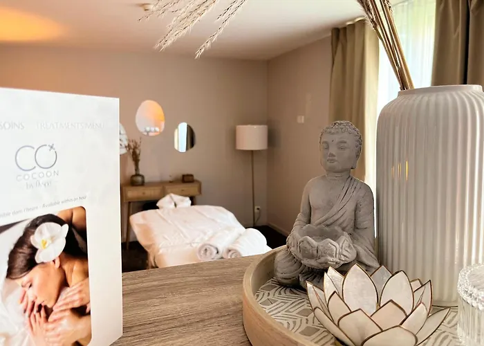 Hotel con animali ammessi a Losanna