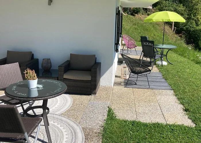 Le Lezard Et La Grenouille Bnb Ovronnaz