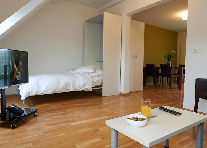 Residence Apartments By Hotel Du Commerce Basilea