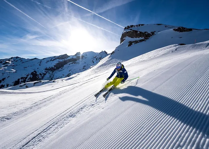 Engelberg Hotels