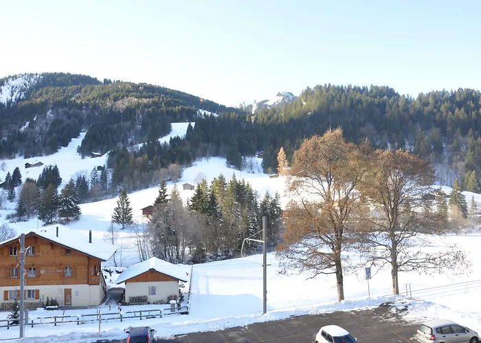 Hotels in Les Diablerets